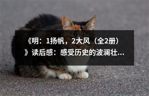 《明：1揚帆，2大風（全2冊）》讀后感：感受歷史的波瀾壯闊 (800字)
