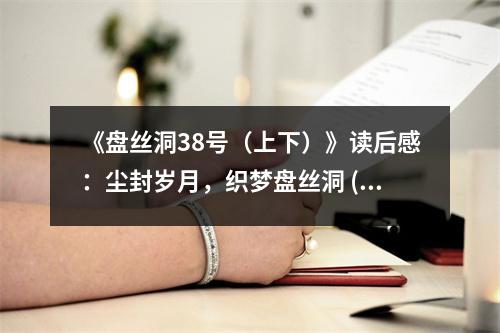 《盤絲洞38號（上下）》讀后感：塵封歲月，織夢盤絲洞 (800字)