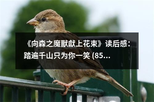 《向森之魔獸獻上花束》讀后感：踏遍千山只為你一笑 (850字)