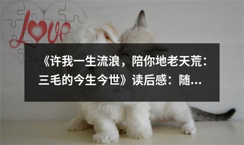 《許我一生流浪，陪你地老天荒：三毛的今生今世》讀后感：隨三毛流浪，品人間煙火 (900字)