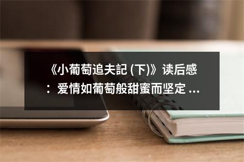 《小葡萄追夫記 (下)》讀后感：愛情如葡萄般甜蜜而堅定 (850字)