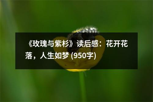 《玫瑰與紫杉》讀后感：花開花落，人生如夢 (950字)