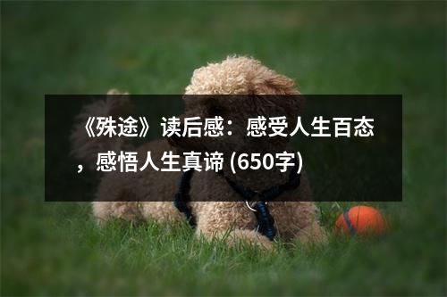 《殊途》讀后感：感受人生百態(tài)，感悟人生真諦 (650字)