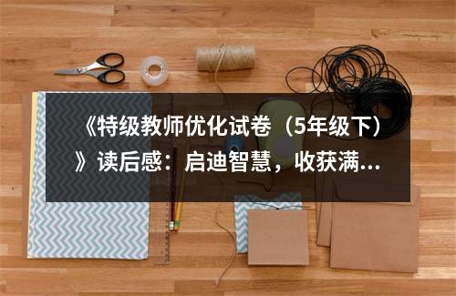 《特級教師優(yōu)化試卷（5年級下）》讀后感：啟迪智慧，收獲滿滿 (700字)