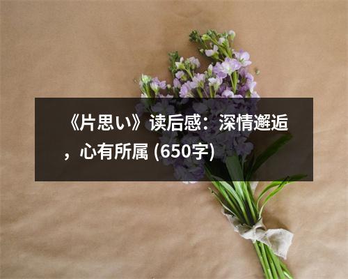 《片思い》讀后感：深情邂逅，心有所屬 (650字)