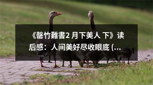 《罄竹難書2 月下美人 下》讀后感：人間美好盡收眼底 (800字)