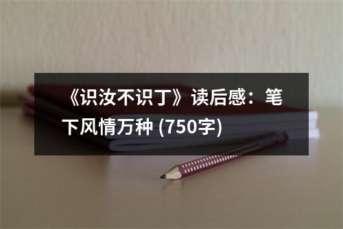 《識汝不識丁》讀后感：筆下風情萬種 (750字)