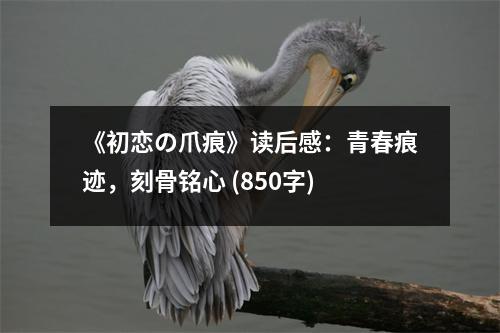 《初戀の爪痕》讀后感：青春痕跡，刻骨銘心 (850字)