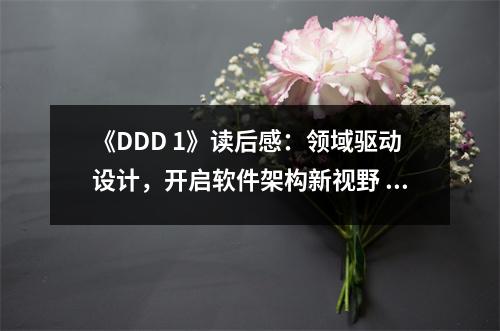 《DDD 1》讀后感：領(lǐng)域驅(qū)動設(shè)計，開啟軟件架構(gòu)新視野 (1200字)