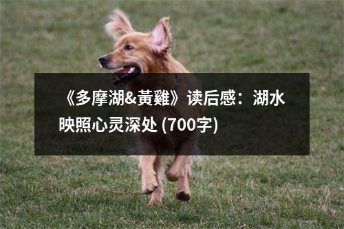 《多摩湖&黃雞》讀后感：湖水映照心靈深處 (700字)
