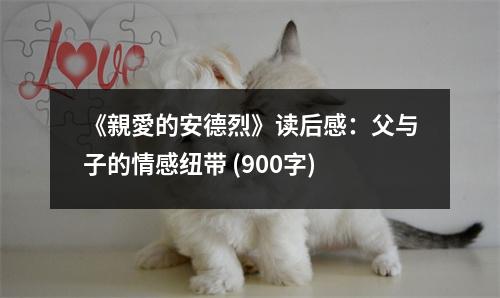 《親愛的安德烈》讀后感：父與子的情感紐帶 (900字)