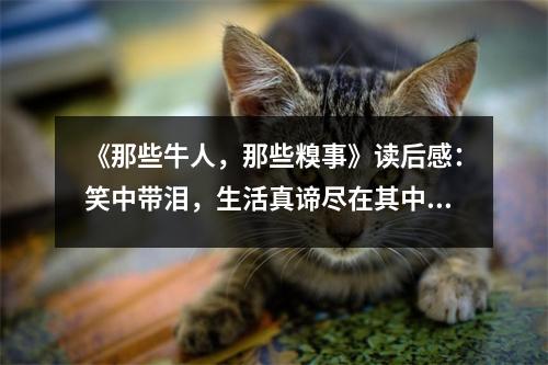 《那些牛人，那些糗事》讀后感：笑中帶淚，生活真諦盡在其中 (700字)