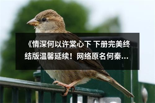 《情深何以許棠心下 下冊(cè)完美終結(jié)版溫馨延續(xù)！網(wǎng)絡(luò)原名何秦合理，最美好的婚姻，不僅是與你相知相伴走完一生；也成就了更好的我。》讀后感：相濡以沫，歲月靜好 (850字)