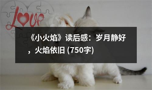 《小火焰》讀后感：歲月靜好，火焰依舊 (750字)