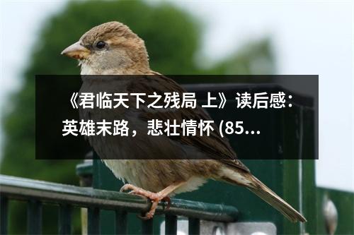 《君臨天下之殘局 上》讀后感：英雄末路，悲壯情懷 (850字)