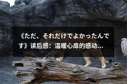 《ただ、それだけでよかったんです》讀后感：溫暖心扉的感動 (700字)