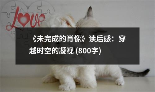 《未完成的肖像》讀后感：穿越時空的凝視 (800字)