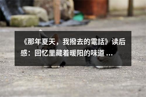 《那年夏天，我撥去的電話》讀后感：回憶里藏著暖陽的味道 (800字)