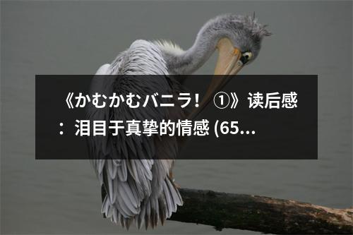 《かむかむバニラ！ ①》讀后感：淚目于真摯的情感 (650字)