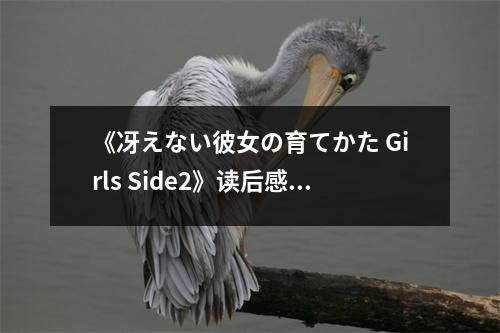 《冴えない彼女の育てかた Girls Side2》讀后感：青春回憶里最溫柔的成長 (650字)