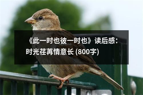 《此一時(shí)也彼一時(shí)也》讀后感：時(shí)光荏苒情意長(zhǎng) (800字)