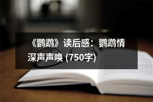 《鸚鵡》讀后感：鸚鵡情深聲聲喚 (750字)