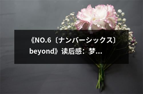 《NO.6〔ナンバーシックス〕 beyond》讀后感：夢(mèng)想照亮現(xiàn)實(shí)之路 (750字)