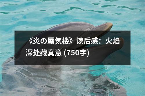 《炎の蜃気樓》讀后感：火焰深處藏真意 (750字)
