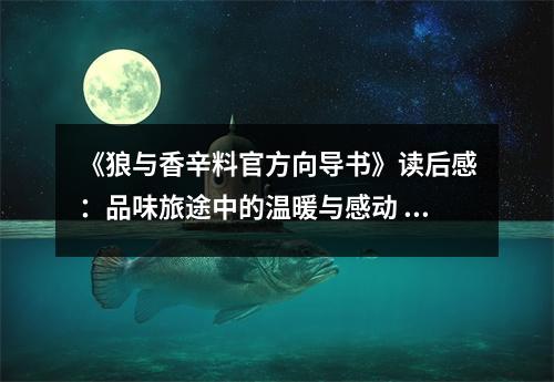 《狼與香辛料官方向?qū)?shū)》讀后感：品味旅途中的溫暖與感動(dòng) (850字)