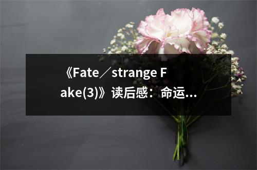 《Fate／strange Fake(3)》讀后感：命運(yùn)交織，情感波瀾 (900字)