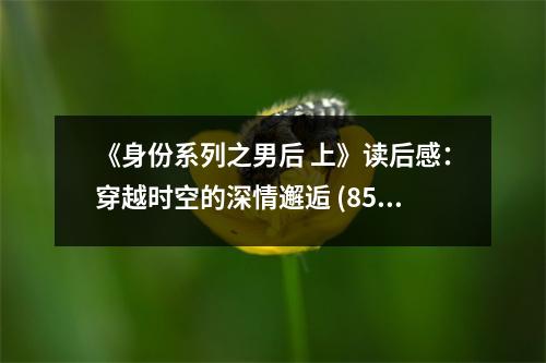 《身份系列之男后 上》讀后感：穿越時空的深情邂逅 (850字)