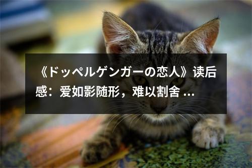 《ドッペルゲンガーの戀人》讀后感：愛如影隨形，難以割舍 (700字)