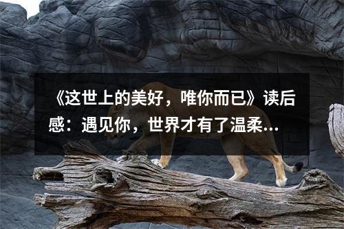 《這世上的美好，唯你而已》讀后感：遇見你，世界才有了溫柔的色彩 (700字)