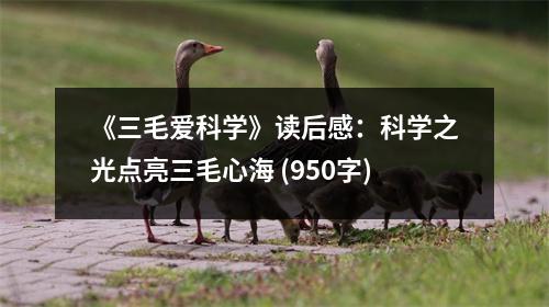 《三毛愛科學(xué)》讀后感：科學(xué)之光點(diǎn)亮三毛心海 (950字)