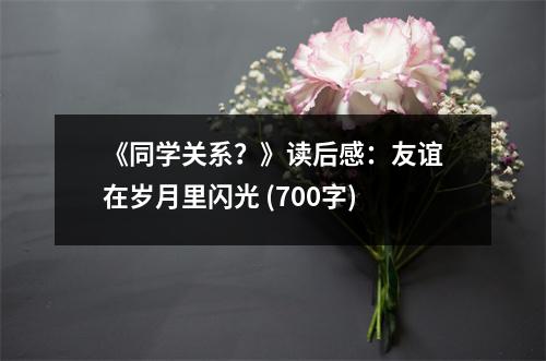 《同學(xué)關(guān)系？》讀后感：友誼在歲月里閃光 (700字)