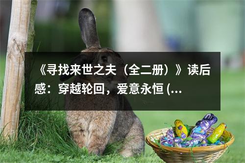 《尋找來(lái)世之夫（全二冊(cè)）》讀后感：穿越輪回，愛(ài)意永恒 (750字)