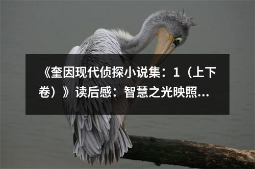 《奎因現(xiàn)代偵探小說集：1（上下卷）》讀后感：智慧之光映照迷霧重重 (800字)