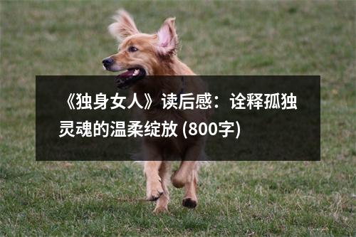 《獨身女人》讀后感：詮釋孤獨靈魂的溫柔綻放 (800字)