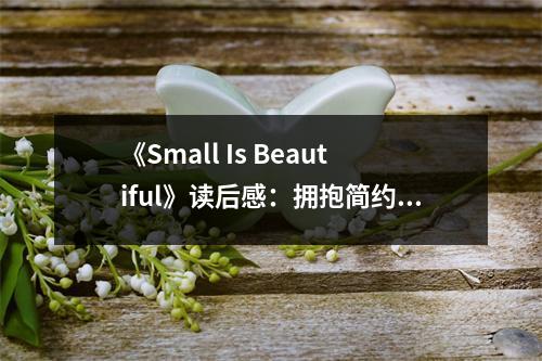 《Small Is Beautiful》讀后感：擁抱簡約之美 (700字)