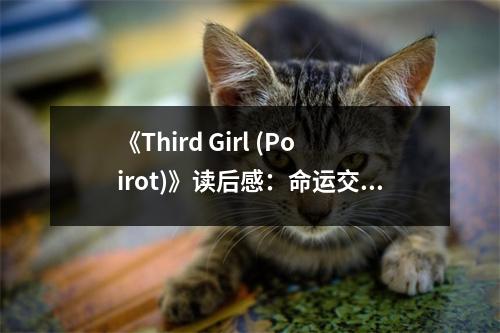 《Third Girl (Poirot)》讀后感：命運交錯間，智慧勝過詭計 (600字)