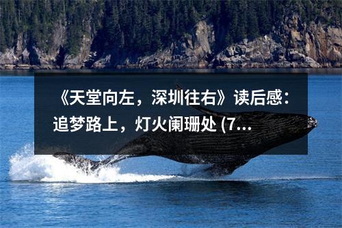《天堂向左，深圳往右》讀后感：追夢(mèng)路上，燈火闌珊處 (700字)