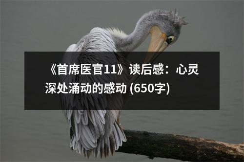 《首席醫(yī)官11》讀后感：心靈深處涌動的感動 (650字)