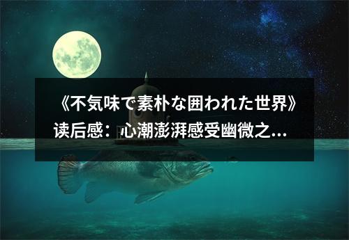 《不気味で素樸な囲われた世界》讀后感：心潮澎湃感受幽微之美 (700字)