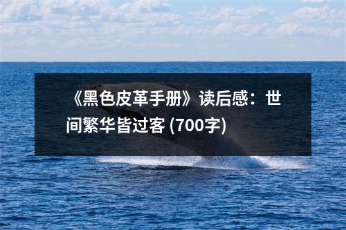 《黑色皮革手冊(cè)》讀后感：世間繁華皆過客 (700字)