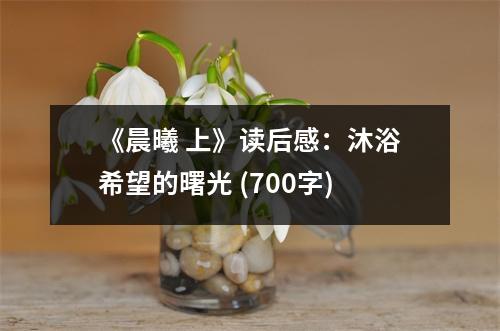 《晨曦 上》讀后感：沐浴希望的曙光 (700字)