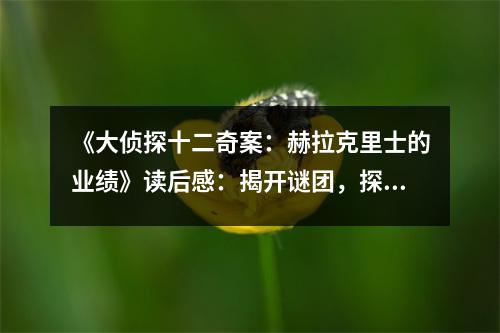 《大偵探十二奇案：赫拉克里士的業(yè)績(jī)》讀后感：揭開(kāi)謎團(tuán)，探尋智慧的光芒 (800字)