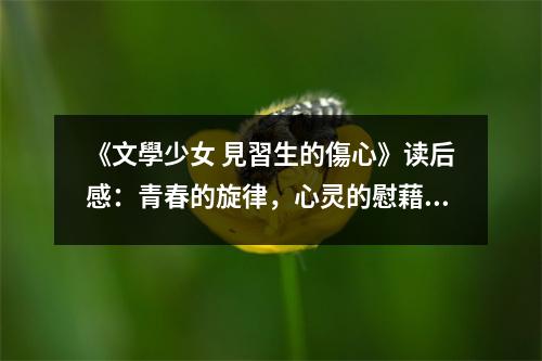 《文學(xué)少女 見習(xí)生的傷心》讀后感：青春的旋律，心靈的慰藉 (850字)
