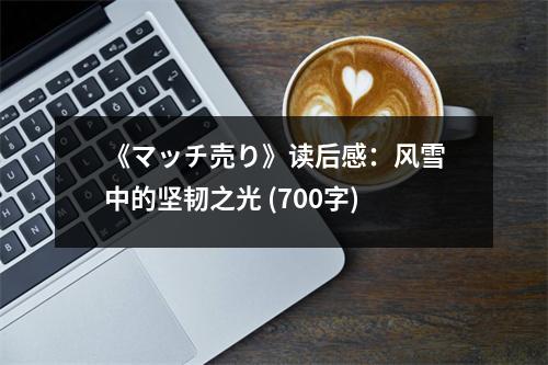 《マッチ売り》讀后感：風(fēng)雪中的堅(jiān)韌之光 (700字)