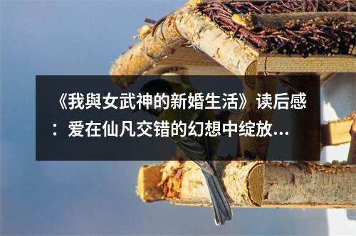 《我與女武神的新婚生活》讀后感：愛在仙凡交錯的幻想中綻放 (750字)