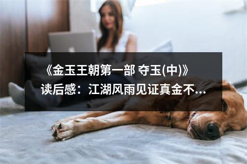 《金玉王朝第一部 奪玉(中)》讀后感：江湖風(fēng)雨見證真金不怕火煉 (700字)
